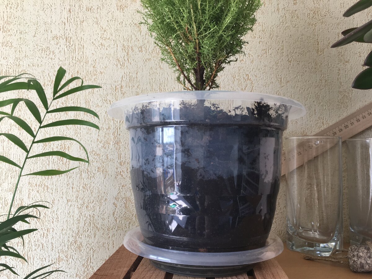 Похоже, что это его последнее фото