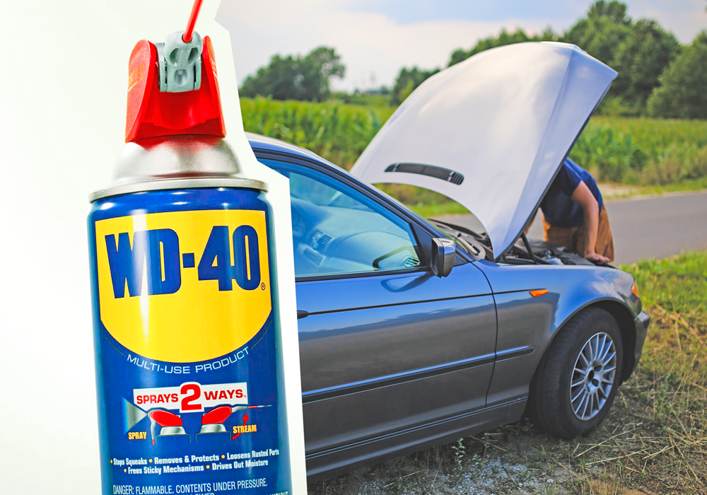 Фото: brodude.ru