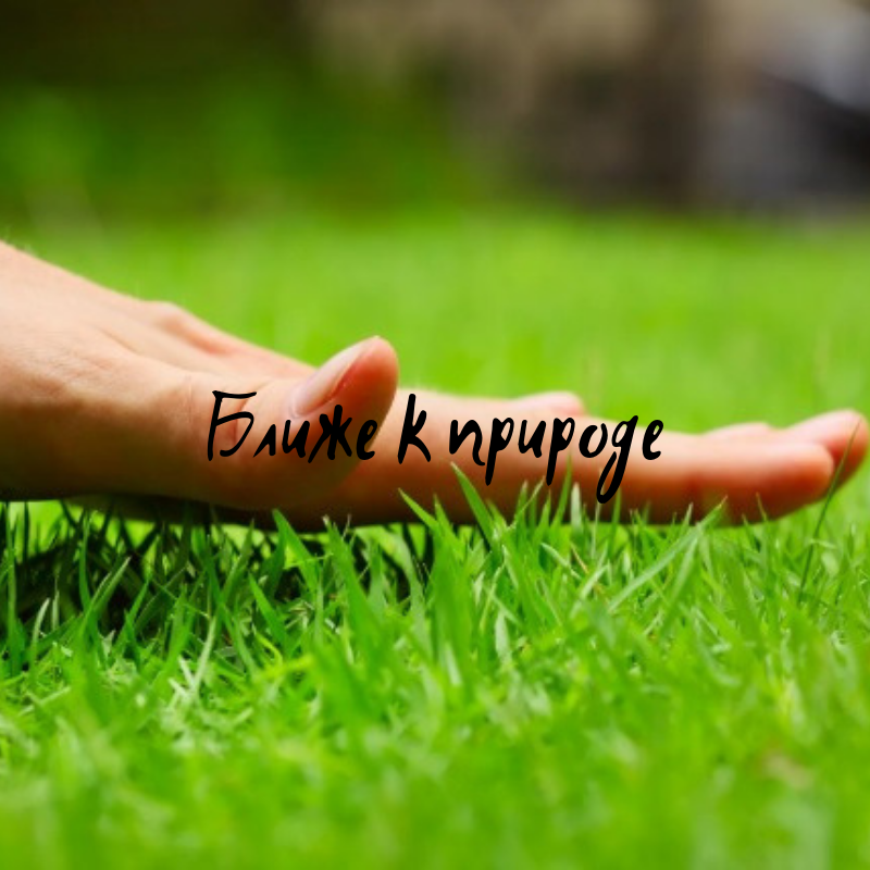 фото из Яндекс.Картинки