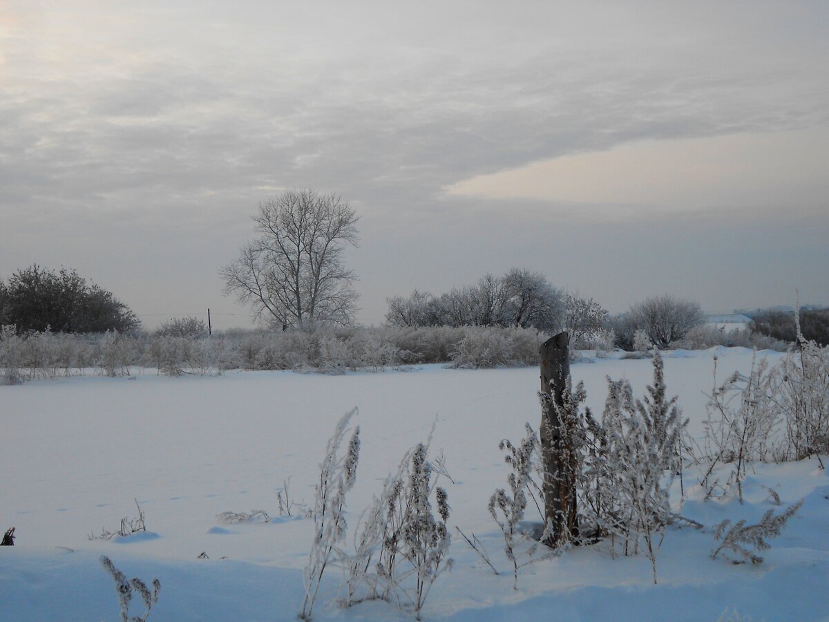 В школьные годы я облазила все окрестности своего маленького посёлка и даже принимала участие в фотовыставках