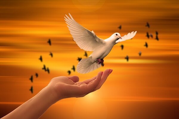 Фото: сайт pixabay.com.ru