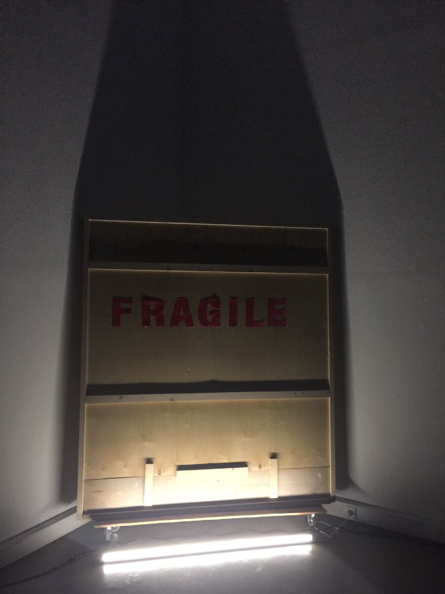 Коробка для транспортировки жесткого портрета