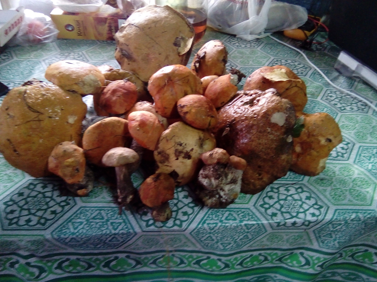 Фото из личного архива