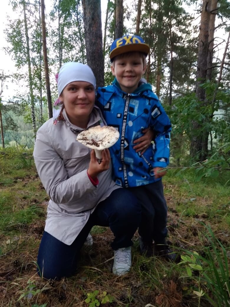 Вот такие грибы в окрестностях Белокурихи.