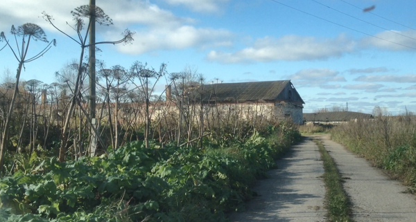 фото автора. мои развалины. бывшая ферма КРС