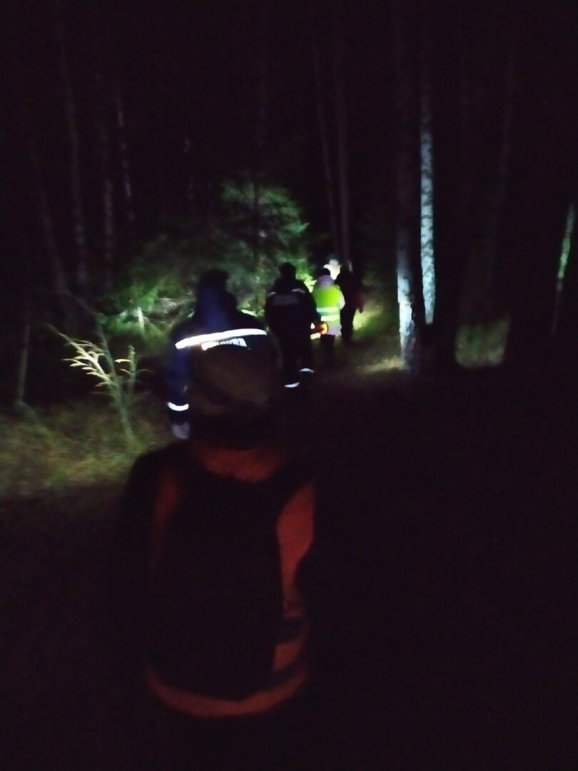 формирование цепи, для методичного прочесывание леса.