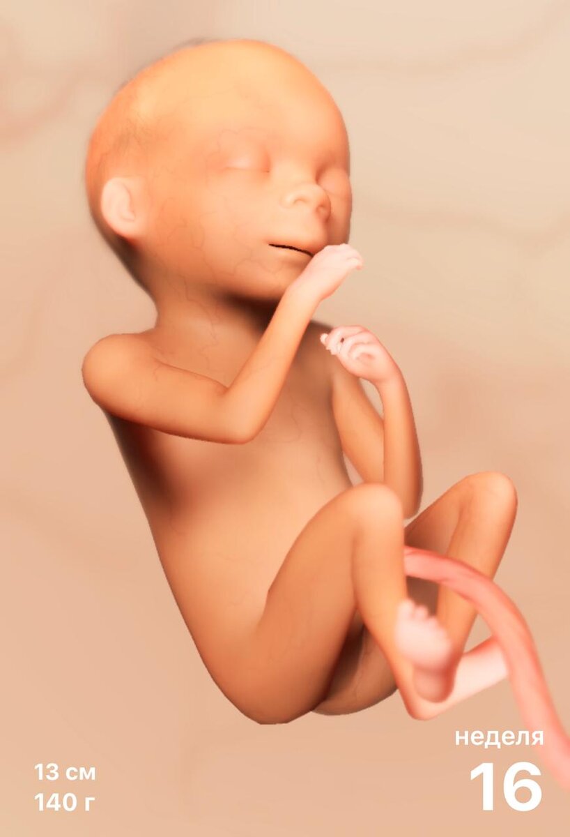 Приложение