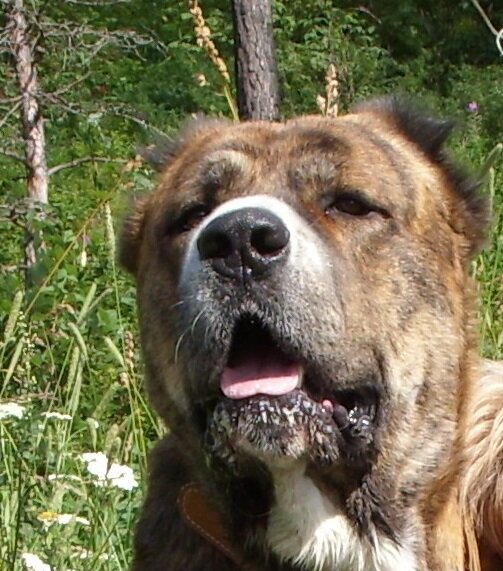 Здесь и далее фото автора.