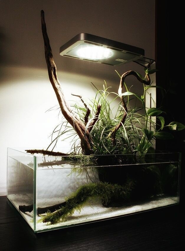 Аквариумы ELOS