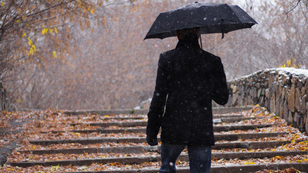 "Прохожий"  картинка взята из поиска Яндекс