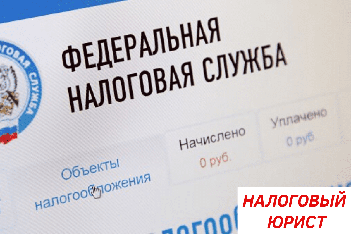 Правами представления в налоговую. Правами представления в налоговую