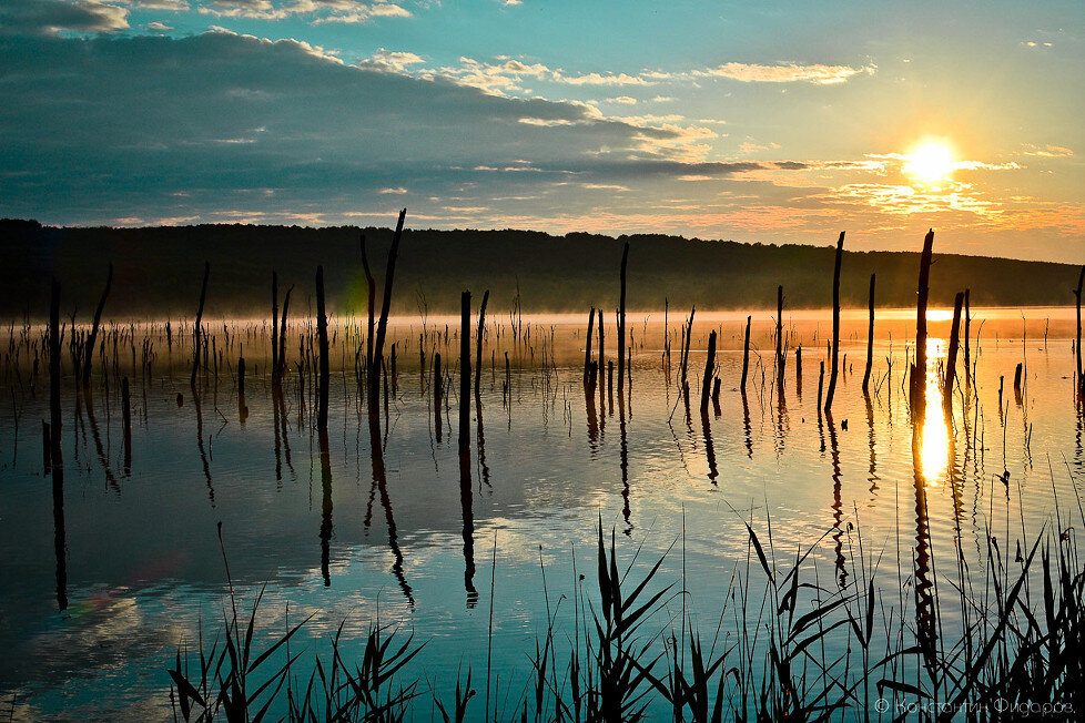 Озеро Тамбукан с затопленным лесом