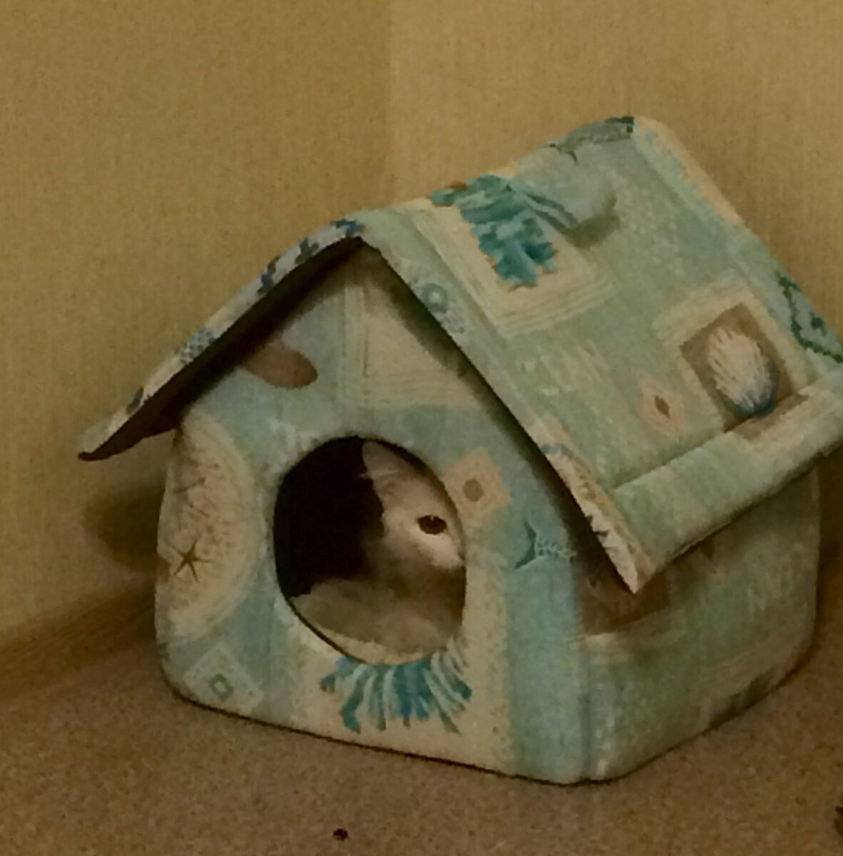 Наша прынцесска в домике) Сорри за качество фото- сделано на тапок и в полутьме)