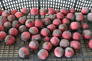 Одной из самых популярных приманок для ловли карпа и леща на сегодняшней день являются бойлы.