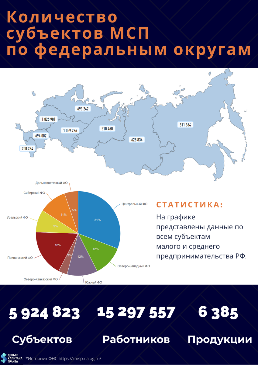 Субъекты малого и среднего предпринимательства РФ