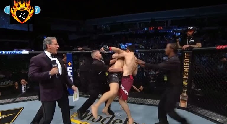 Спорт,UFC,ММА