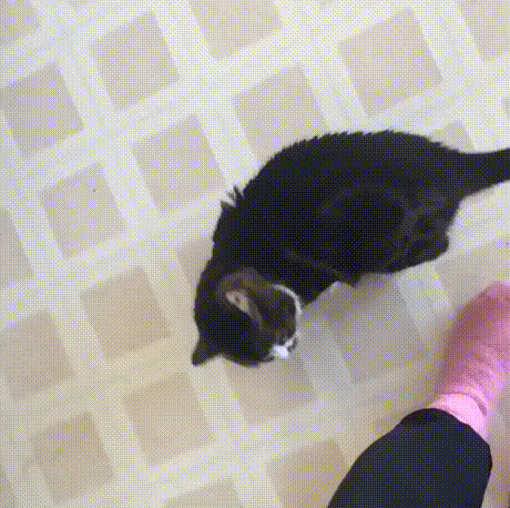 Приложение кот.ехе перестало работать