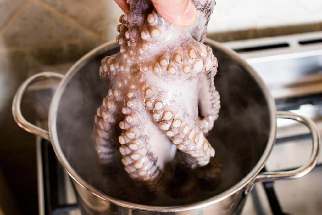 Мясо осьминога. Осьминог приготовленный. Осьминог приготовление. Блюда из осьминога.