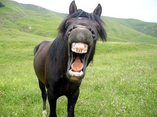 Точно про него