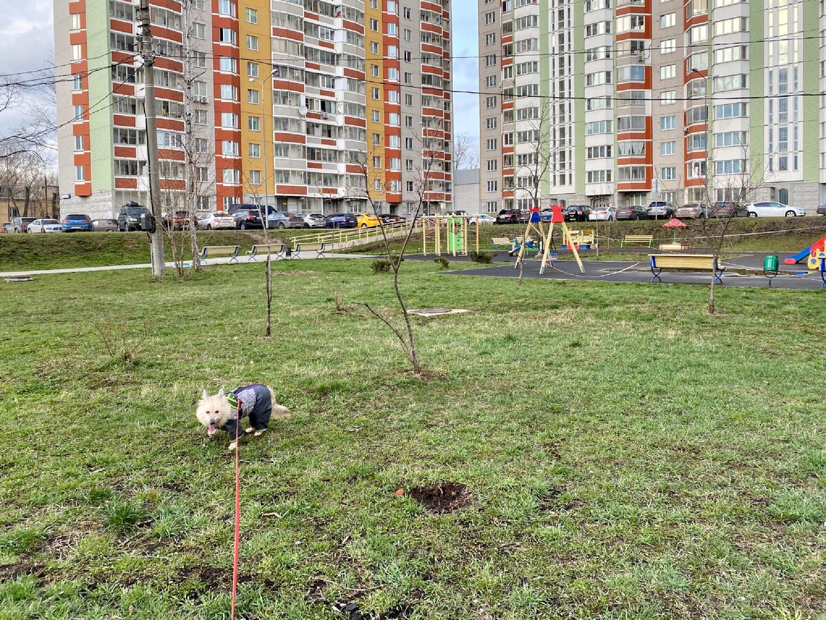 В мамином доме 4 подъезда и 17 этажей. Напротив и рядом еще 3 многоэтажных дома. 
