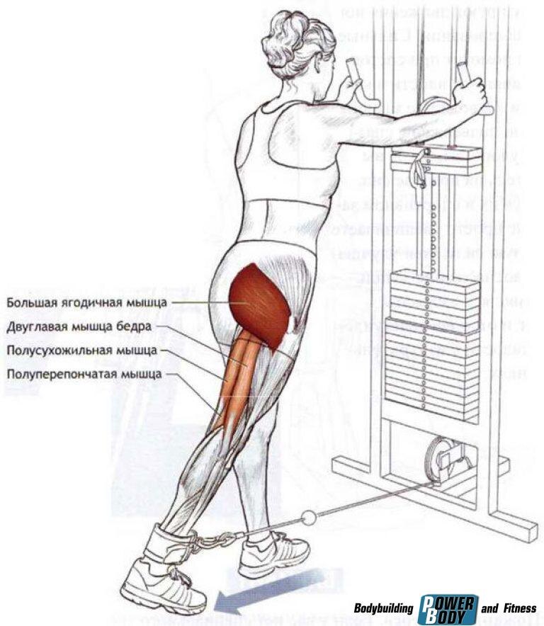 Начинайте с 15 раз на каждую ногу (3 подхода).