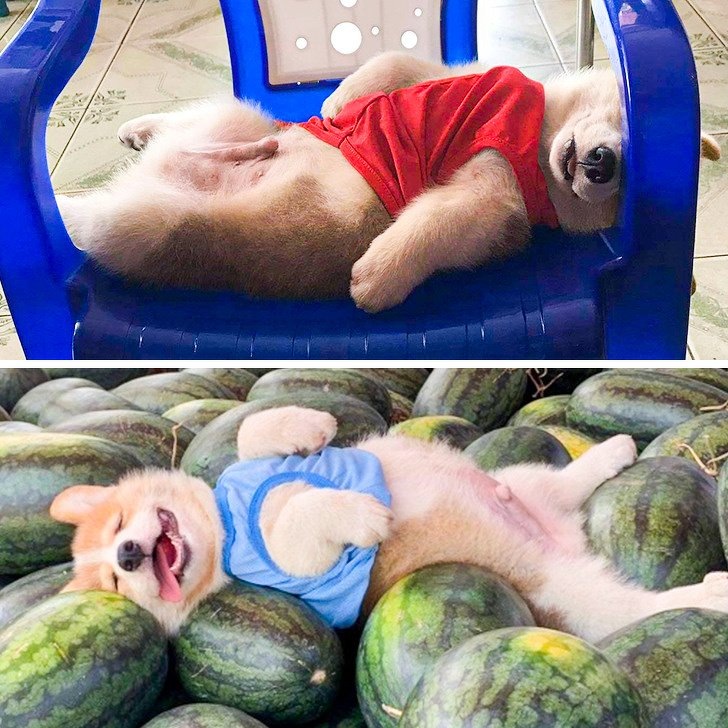 -2