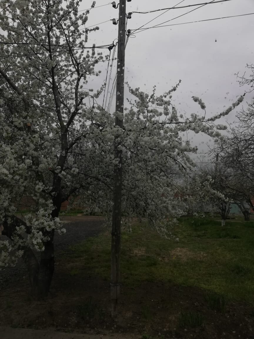 Немножко красоты из улочек Таганрога