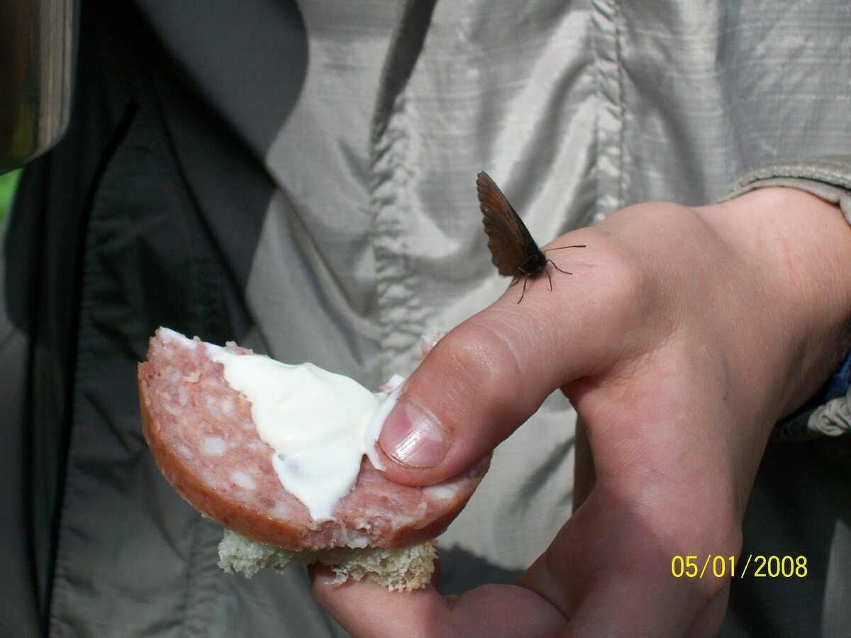 Походная еда)