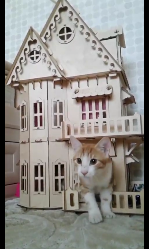 Дом, милый дом