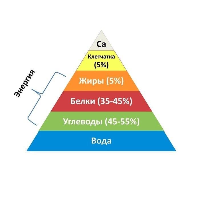 Пирамида состава корма для собаки.