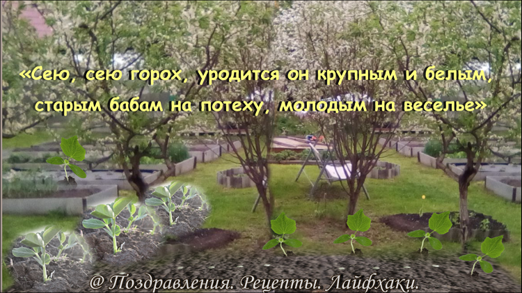 Все иллюстрации в статье созданы автором канала....