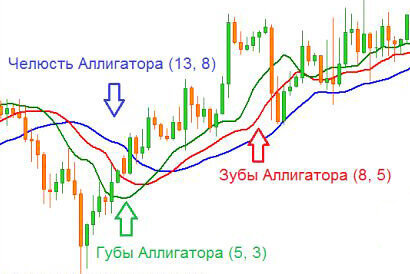 График индикатора Аллигатор состоит из трех разноцветных линий, именуемых сглаженными скользящими средними (SMA) с разными периодами и сдвигом на графике. При этом во всех кривых используется средняя цена, а не цена закрытия. Рассчитывается она достаточно просто. Берется максимум и минимум за определенный период времени. Они складываются между собой и делятся на два.