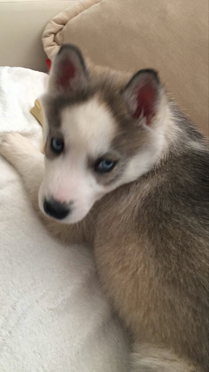 Чем бы заняться ?