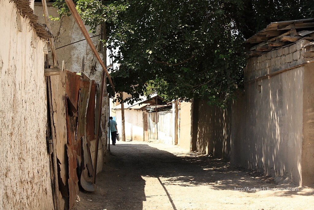 ташкент ташкент махалля. кишлак и махалля. ташкент ташкент махалля. махалля самарканда. махалла ташкент.