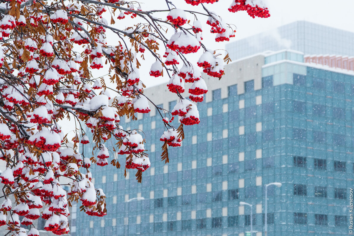 Зима в Анкоридже