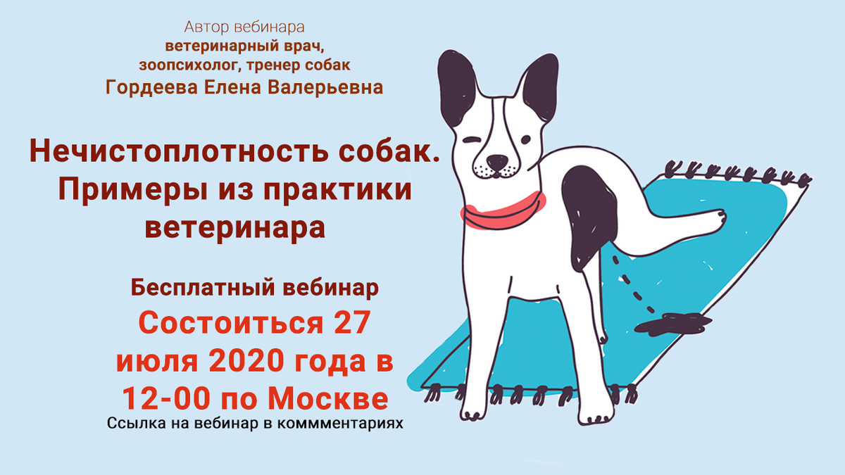 А сейчас я приглашаю вас на свой вебинар. Приходите. Будет много интересного. 