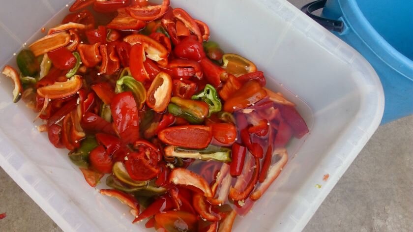 Перец сначала режем, а потом моем. Фото автора