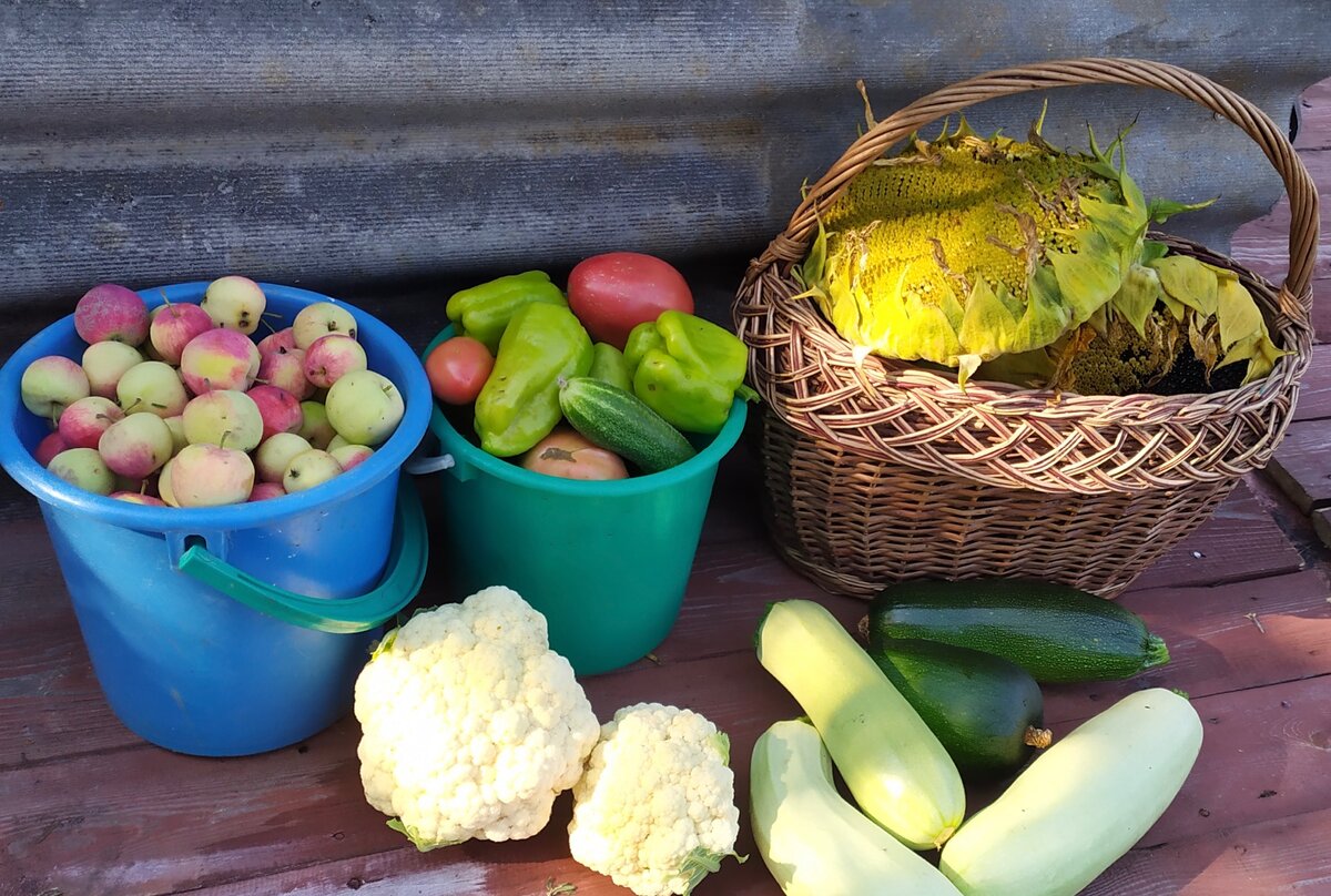 Овощи-фрукты