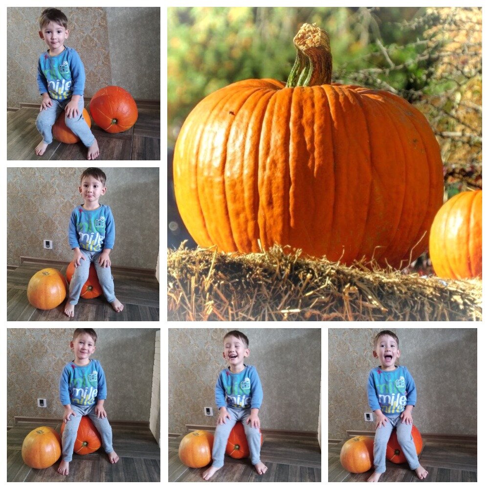 Мой урожай))