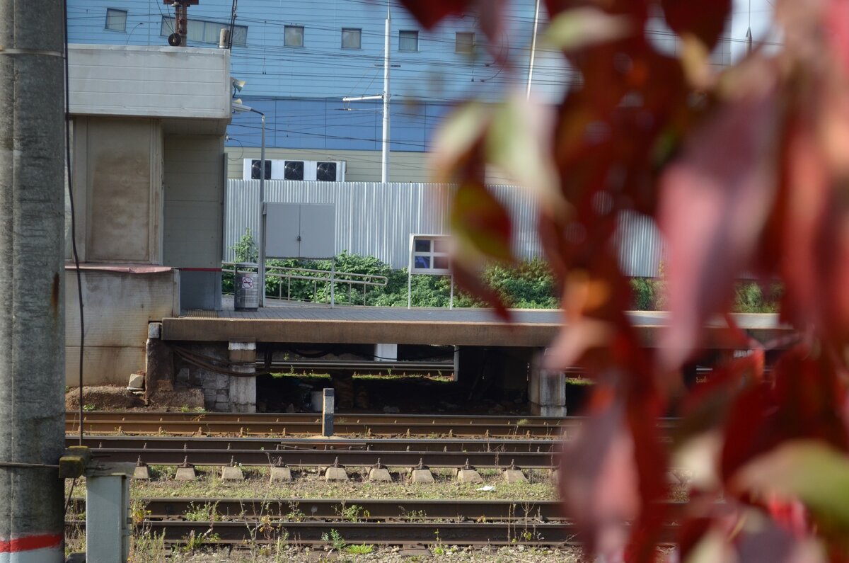 Платформа так и просится навестить ее и отправиться на фотоохоту...