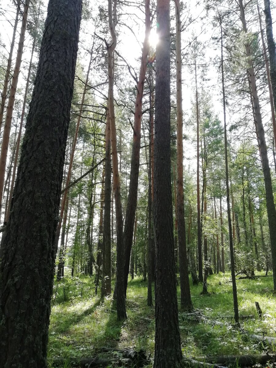 Место силы