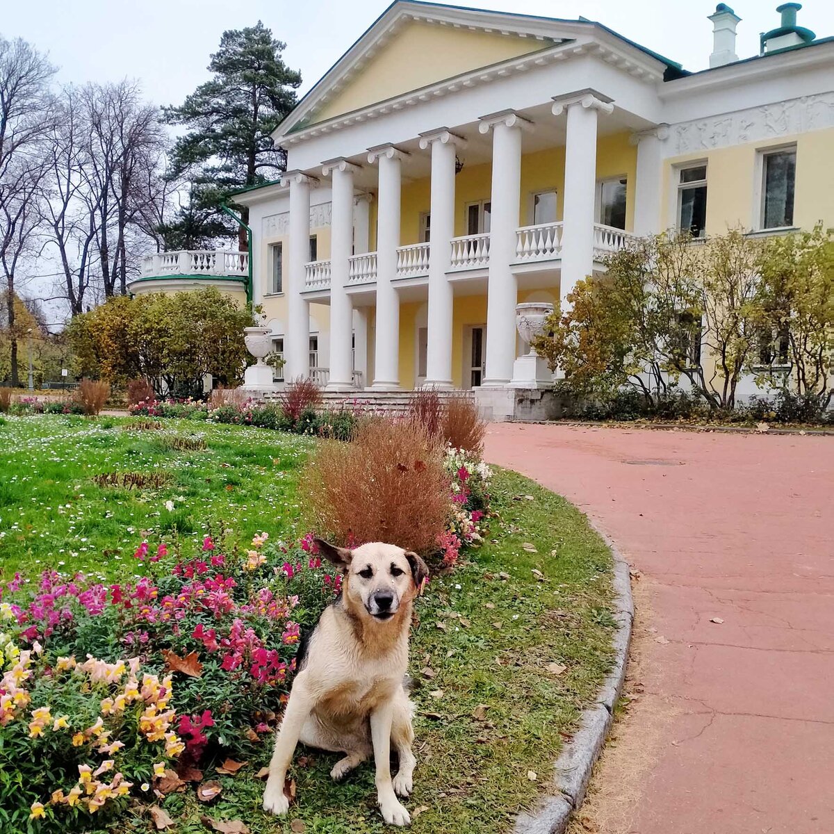 Господский дом, который Ленину казался слишком большим и помпезным, поэтому они с Крупской предпочли жить в Северном флигеле.