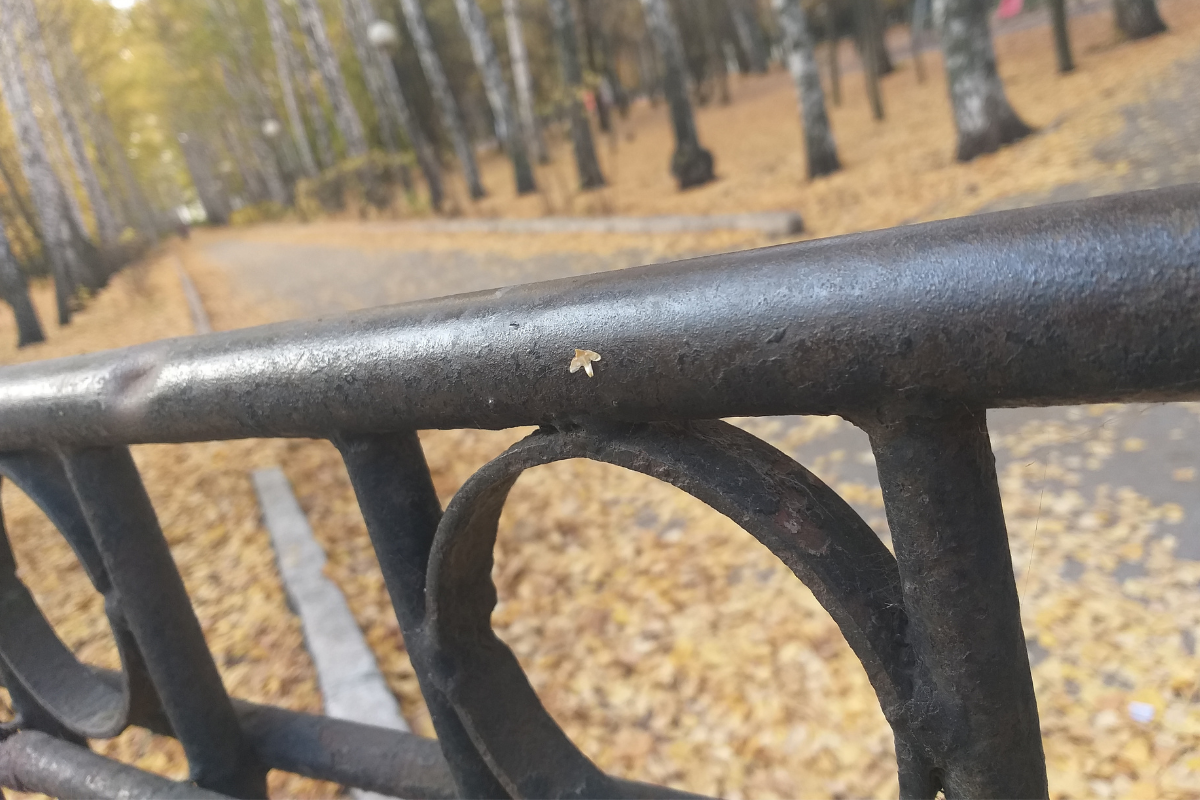 Осень...