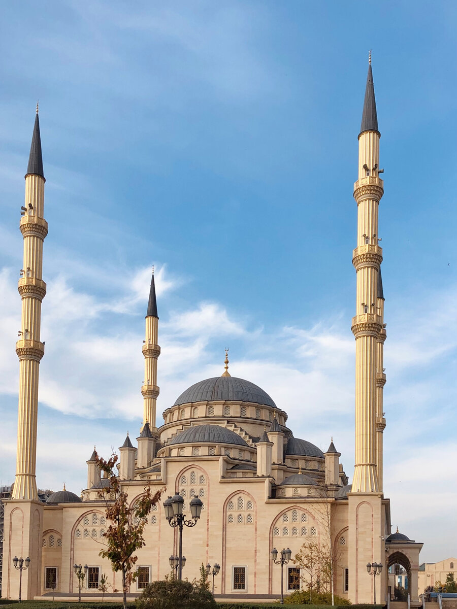 Сердце Чечни