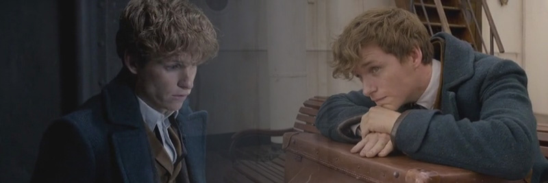 Чудаковатый волшебник и маг-зоолог Ньют Саламандер.