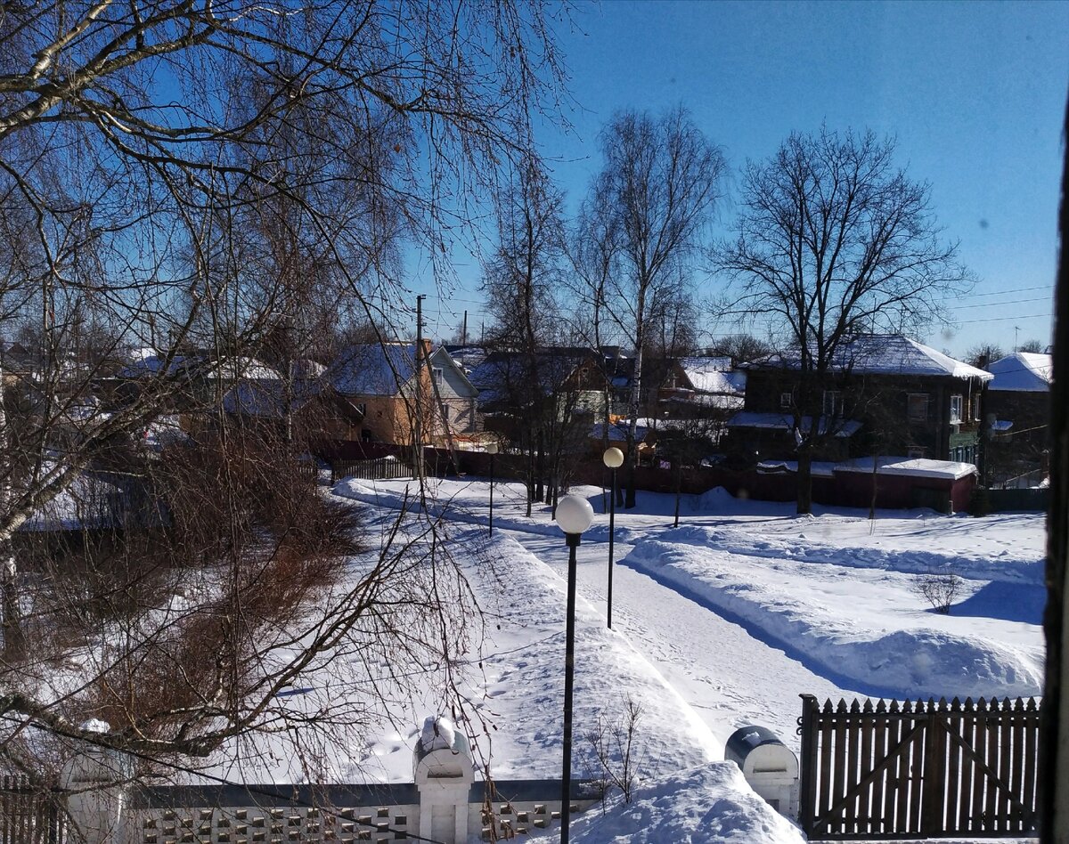 Вид из школы 