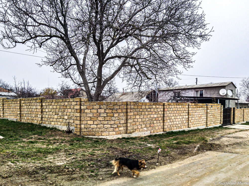 Прогулка по Старому Крыму в недружелюбный весенний день | Дневник ...