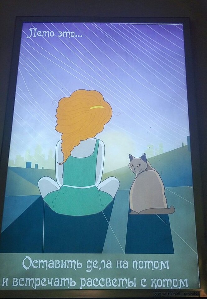 Фото из архивов "Енота"