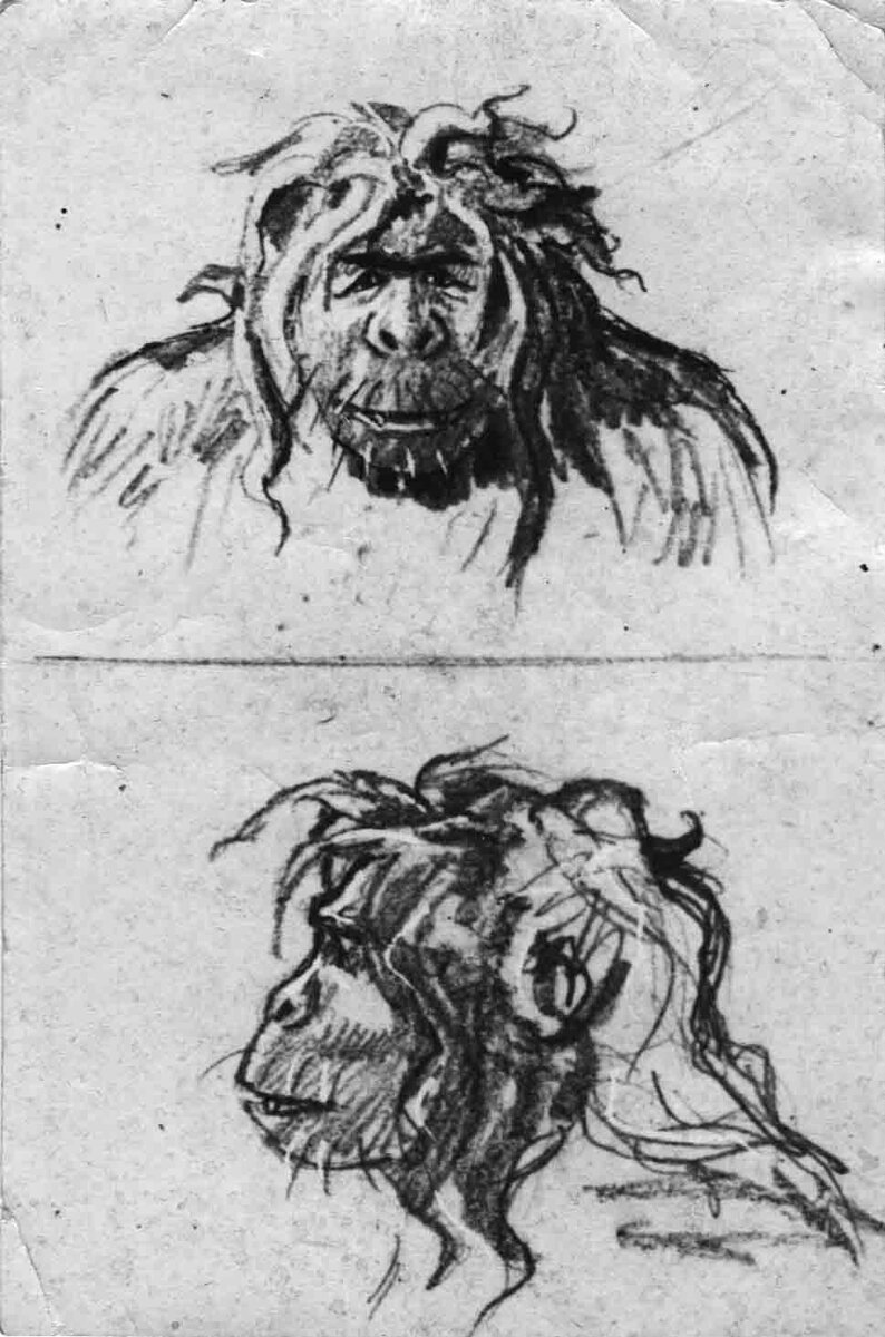 Реконструкция образа алмасты, выполненная М.-Ж. Кофман по опросам очевидцев. Как она признавала впоследствии, профильное изображение получилось чуть слишком «обезьяноподобным» — в особенности контур нижней челюсти (у алмасты действительно лишенной подбородочного выступа, но все же не столь «обезьяньей»). Однако рисунок алмасты анфас и сейчас считается образцово точным. Особо примечательно широкоскулое лицо, у многих наблюдателей вызывающее ассоциации с монголоидной расой, и внешние уголки век, оттянутые не столько в стороны, сколько вниз, что, видимо, породило легенду о «вертикальном» разрезе глаз