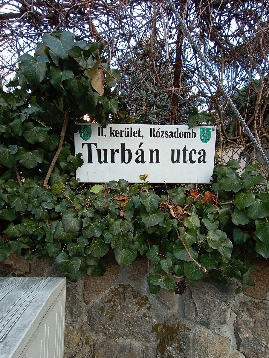 Улица Тюрбан